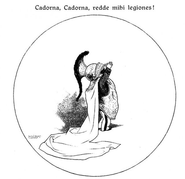 Immagine slideshow